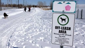 off leash